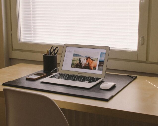 Dara Muscat Presents: Favs of Favs